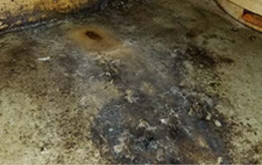 Mold Removal Img